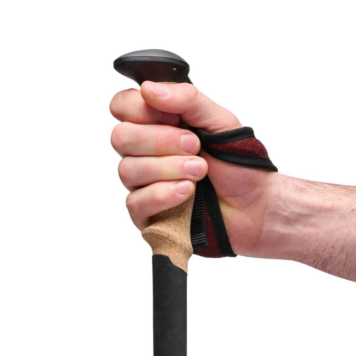 Black Diamond Pursuit Carbon Z Poles Black Diamond Pursuit Carbon Z Poles