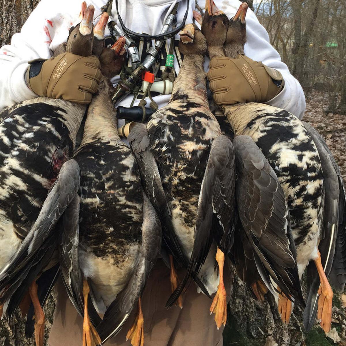 Glacier Glove Leather Guide Gloves Glacier Glove Leather Guide Gloves