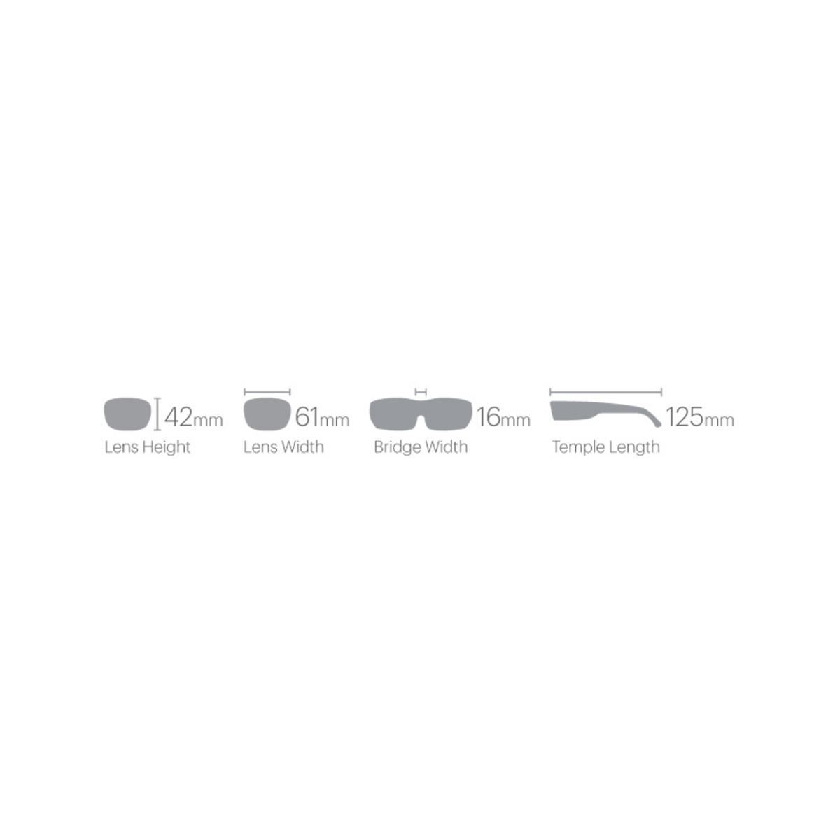 Smith Optics Arvo Sunglasses ChromaPop Polarized Brown - Matte Tortoise Frame Smith Optics Arvo Sunglasses ChromaPop Polarized Brown - Matte Tortoise Frame