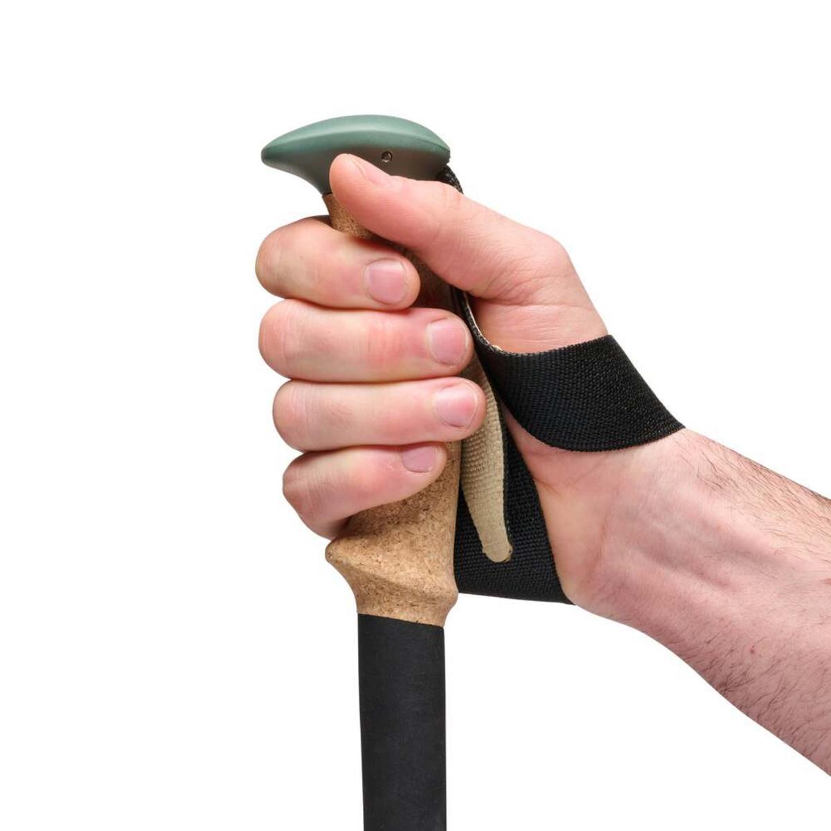 Black Diamond Trail Cork Trekking Poles Black Diamond Trail Cork Trekking Poles