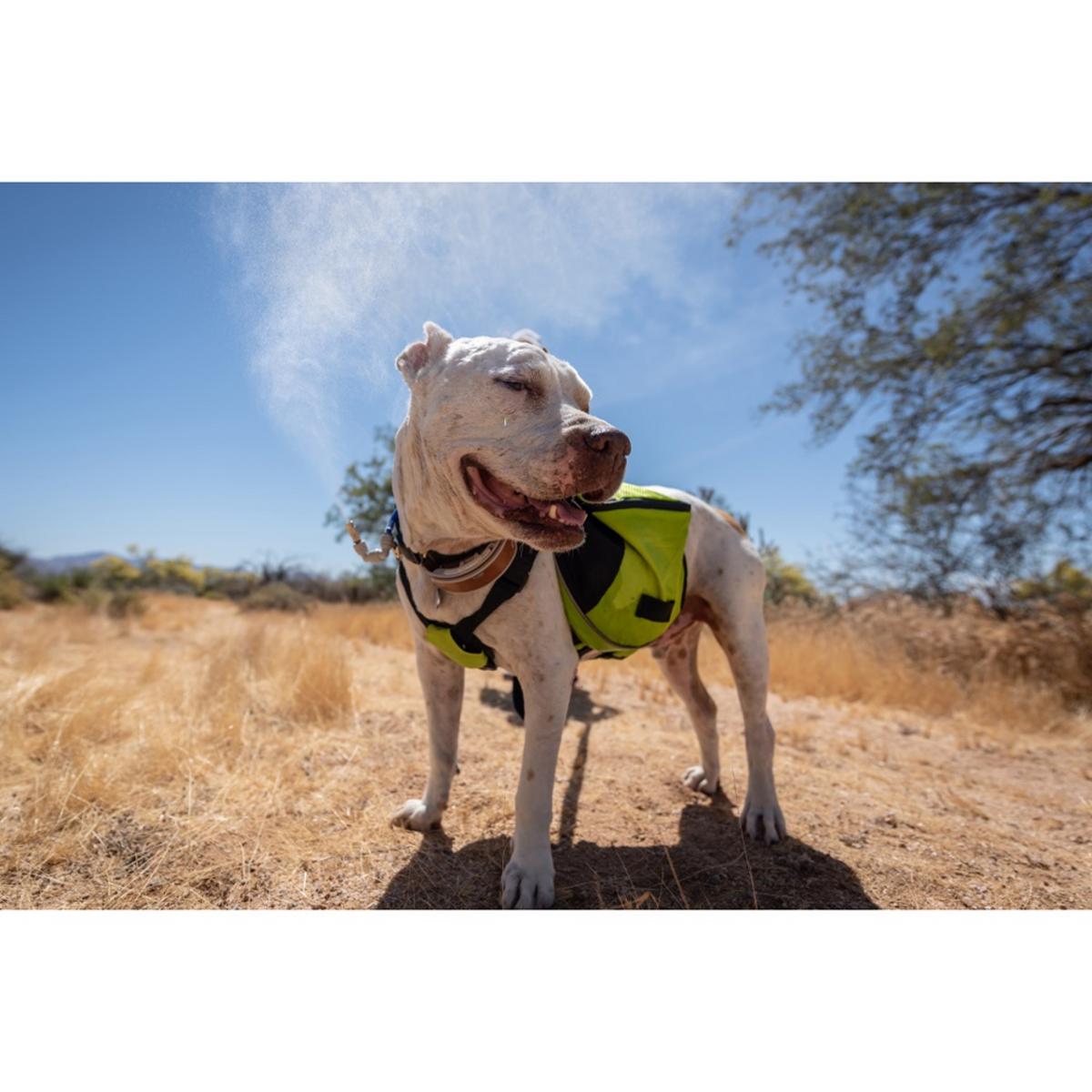 ExtremeMIST Retrofit Kit (Installs In Any Hydration Pack) ExtremeMIST Retrofit Kit (Installs In Any Hydration Pack)