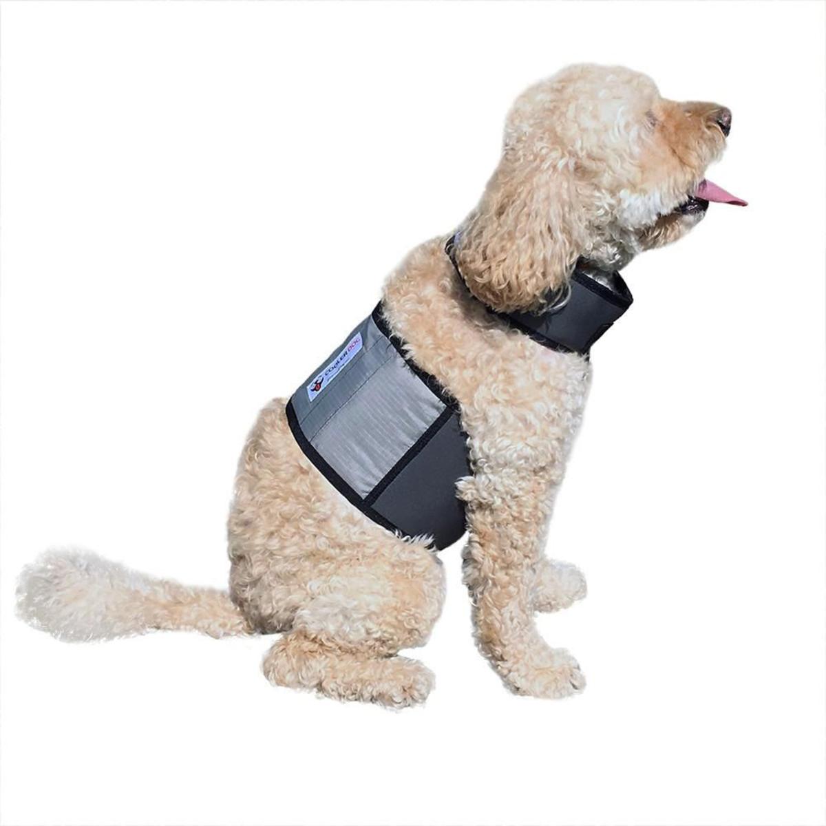 Cooler Dog Cooling Vest and Collar - Small Cooler Dog Cooling Vest and Collar - Small