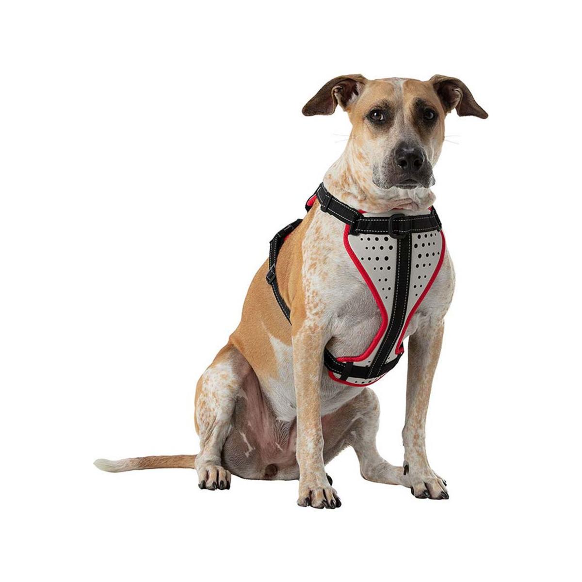 Nathan K9 Series Dog Harness Reflective Nathan K9 Series Dog Harness Reflective