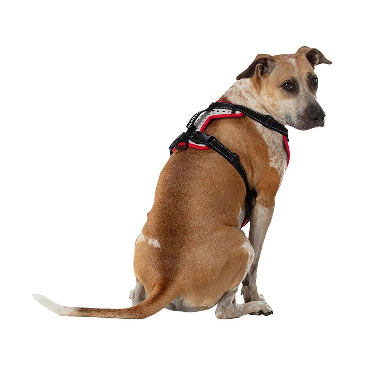 Nathan K9 Series Dog Harness Reflective Nathan K9 Series Dog Harness Reflective