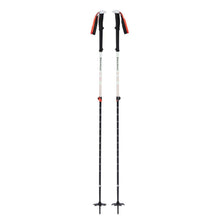 Black Diamond Expedition 2 Ski Poles