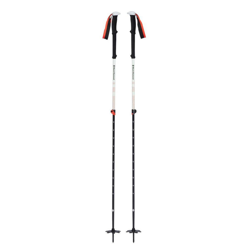 Black Diamond Expedition 2 Ski Poles