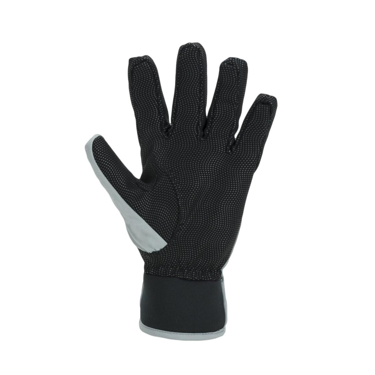 Sealskinz Women's Waterproof All Weather Lightweight Gloves