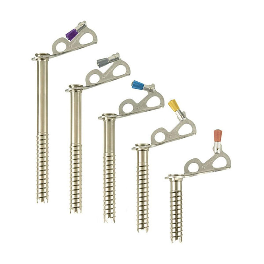 Black Diamond Express Ice Screw - 10cm