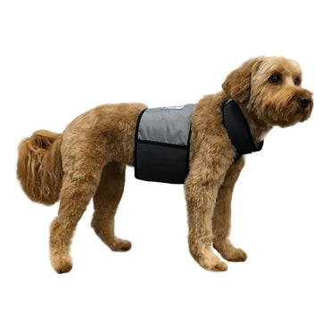 Cooler Dog Cooling Vest and Collar - Medium