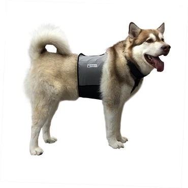 Cooler Dog Cooling Vest and Collar - Large